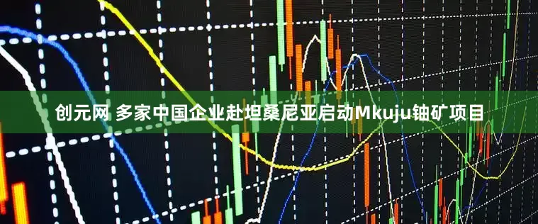 创元网 多家中国企业赴坦桑尼亚启动Mkuju铀矿项目