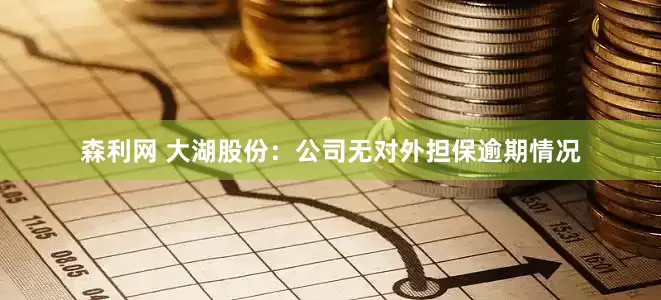 森利网 大湖股份：公司无对外担保逾期情况
