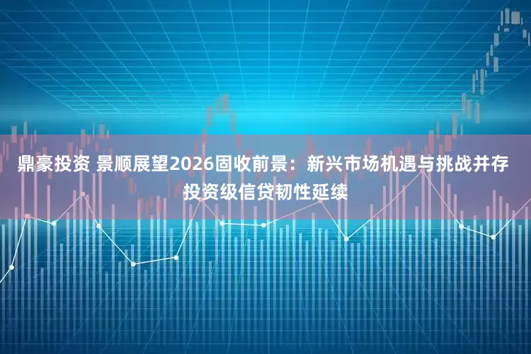 鼎豪投资 景顺展望2026固收前景：新兴市场机遇与挑战并存 投资级信贷韧性延续